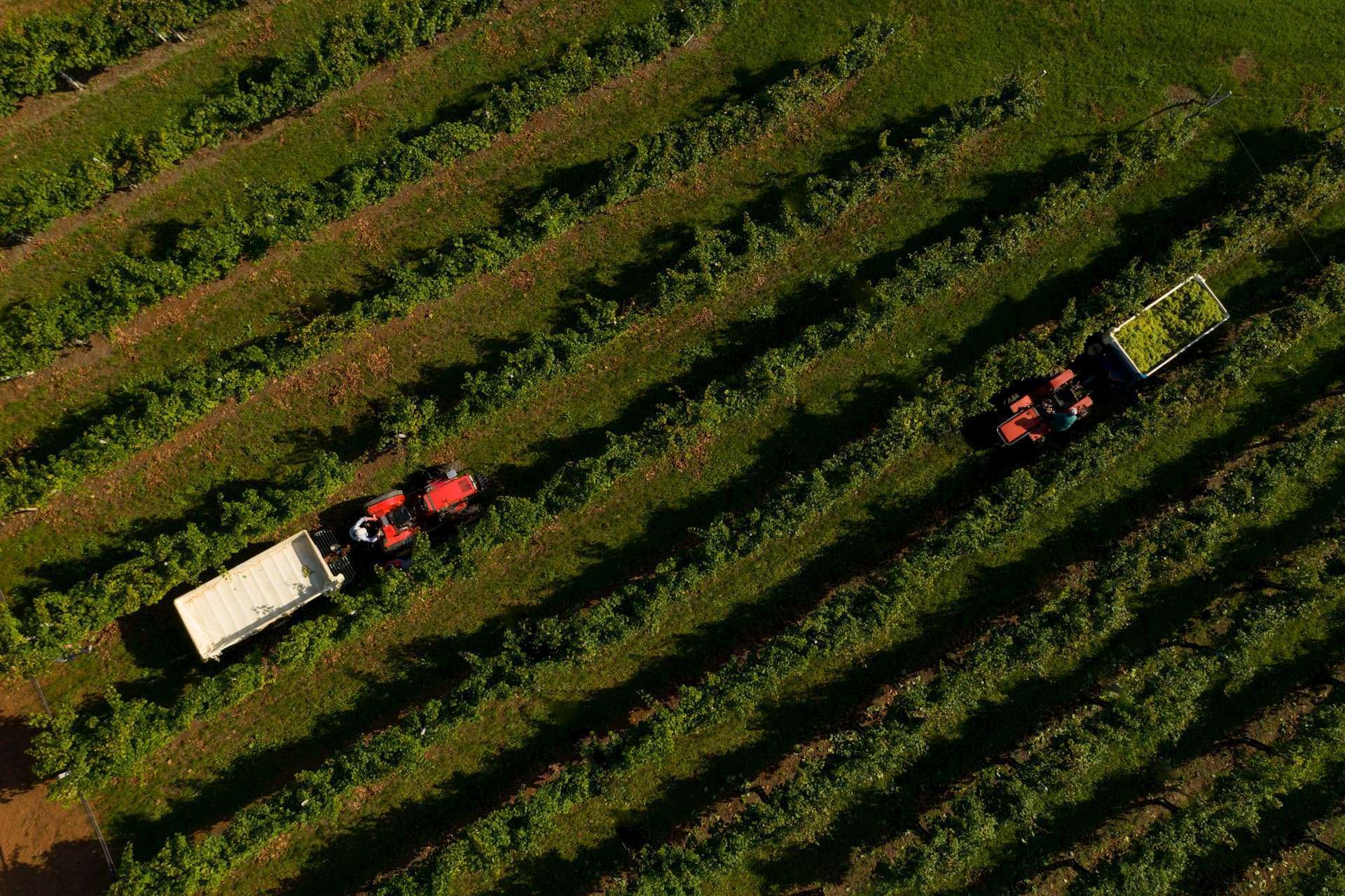 ベルポスト クリップファイル セキセイ Bp 5724 26 1冊 ﾜｲﾝﾚｯﾄﾞ